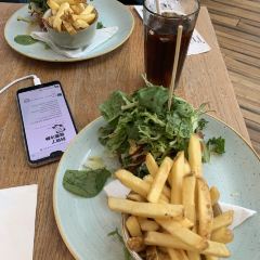 Wondertree User Photo