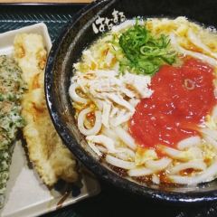 Hanamaru Udon User Photo