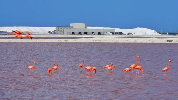 Playa Las Coloradas