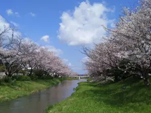 Lake Shinji