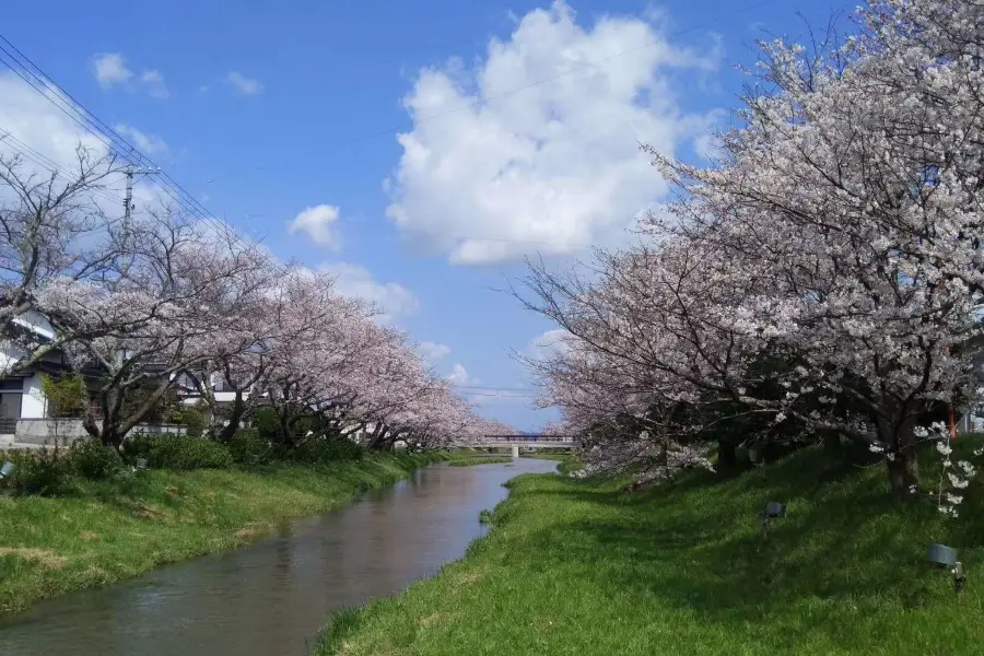 Lake Shinji