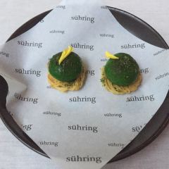Sühring User Photo