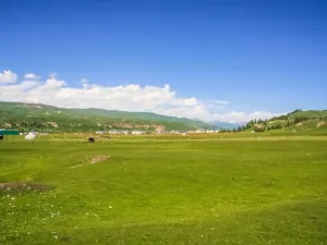 탕부라 초원