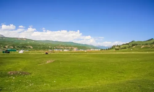 Tangbula Grassland