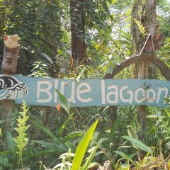 Blue Lagoon Restaurant User Photo