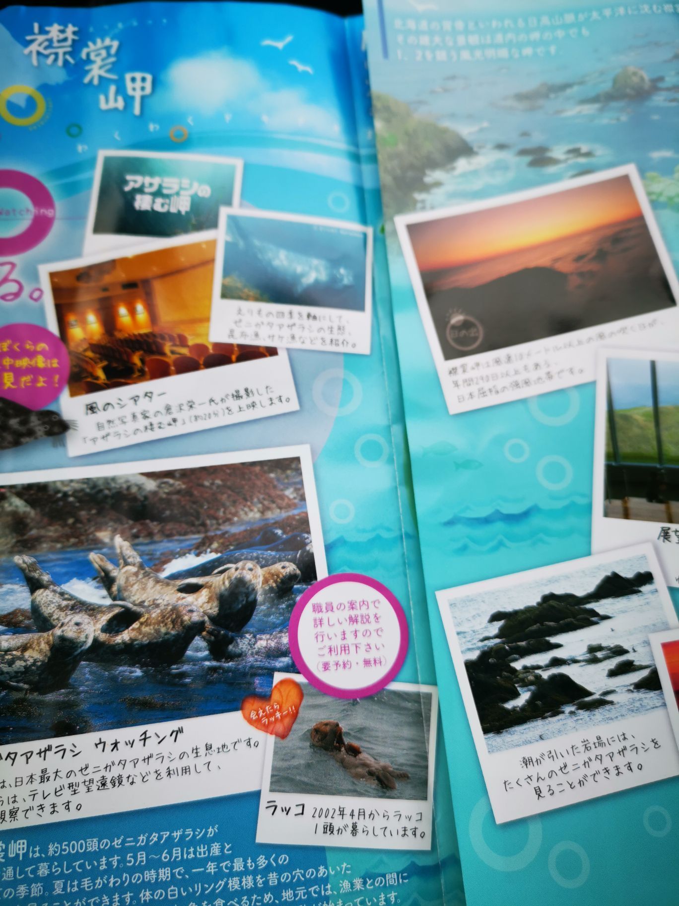 Cape Erimo Travel Guidebook Must Visit Attractions In Erimo Cape Erimo Nearby Recommendation Trip Com Cape Erimo Travel Guidebook Must Visit Attractions In Erimo Cape Erimo Nearby Recommendation Trip Com