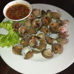 Sabienglae lamai User Photo