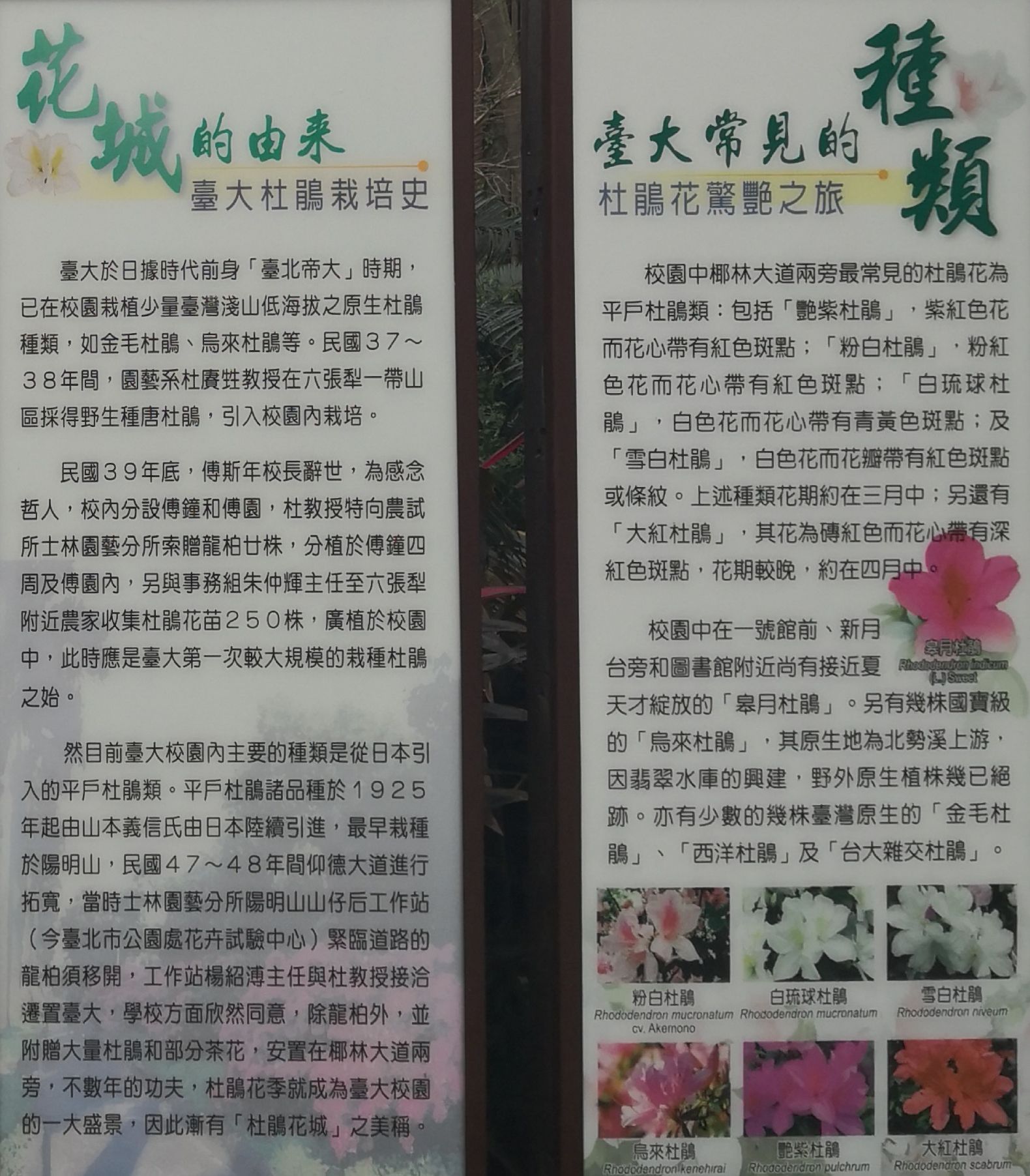 Taiwan University Travel Guidebook Must Visit Attractions In Taipei Taiwan University Nearby Recommendation Trip Com