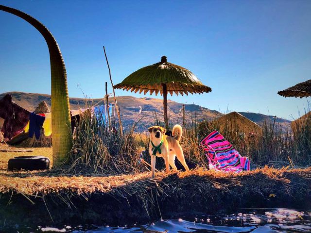 Lake Titicaca