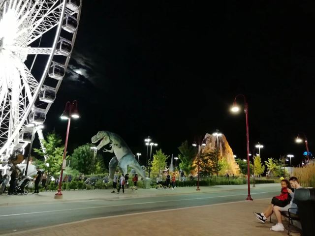Niagara Skywheel