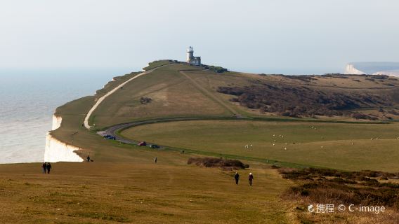Seven Sisters National Park, London, and Westgate Gardens one-day tour[Chartered private charter]