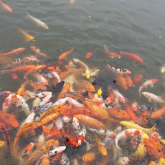 WENFENG GARDEN HOTEL User Photo
