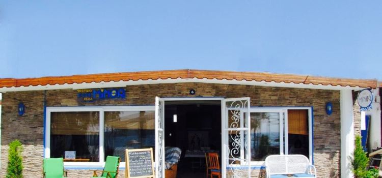 Minor Restaurant
