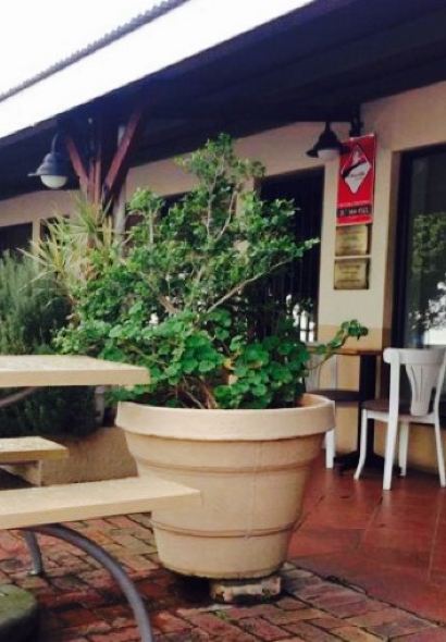 Asami's Somerset West - Asian Cuisine