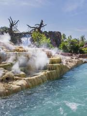 Roaring Rapids