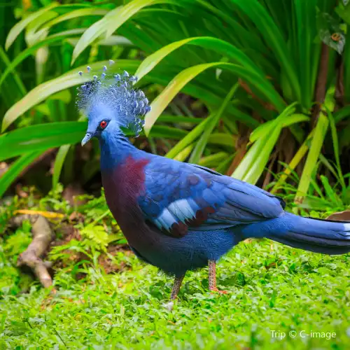 Taman Burung Kuala Lumpur