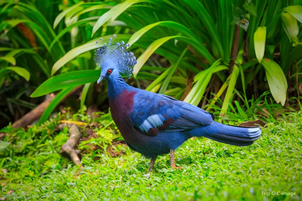 1_Taman Burung Kuala Lumpur