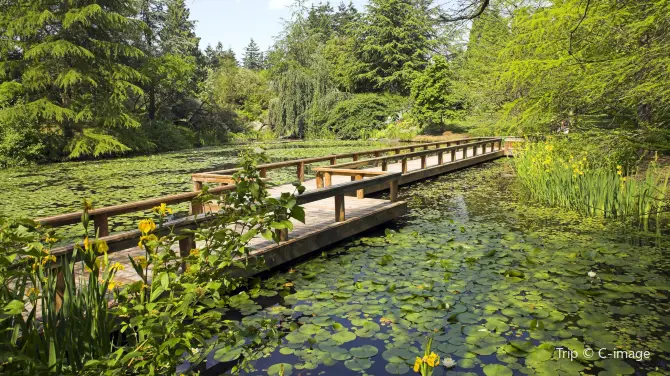 Things to Do in Vancouver in Fall