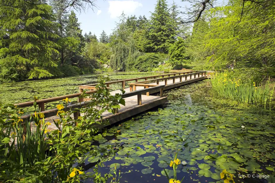 4_VanDusen Botanical Garden