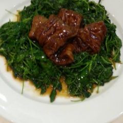 Lao Zheng Xing User Photo