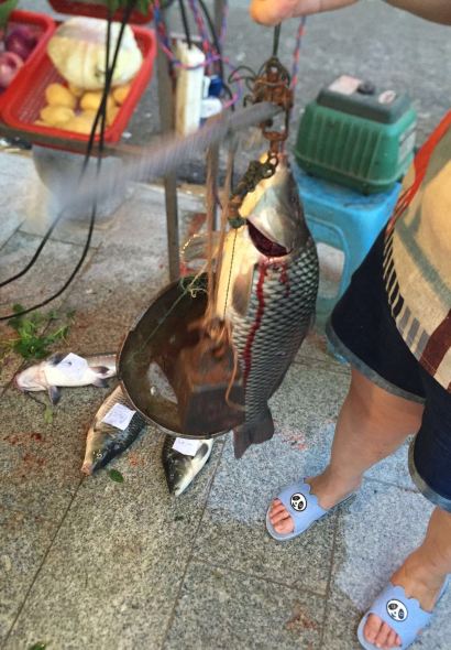 GUO TIE LIU YI SHOU TE SE DOU HUA KAO YU FAN DIAN