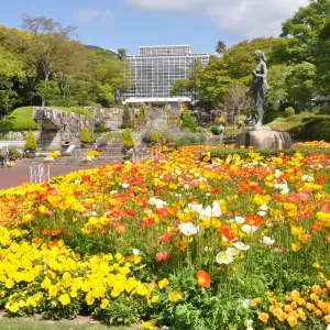 広島市植物公園