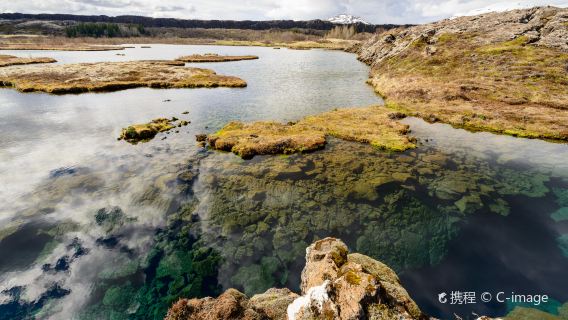 ReykjavikTours