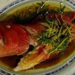 Chinese Garden Restaurant User Photo
