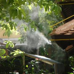 Quán Ngon 138 ảnh của người dùng