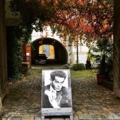 Egon Schiele Cafe User Photo
