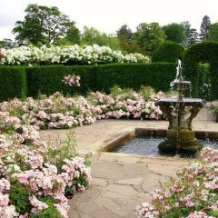 Rosengarten User Photo