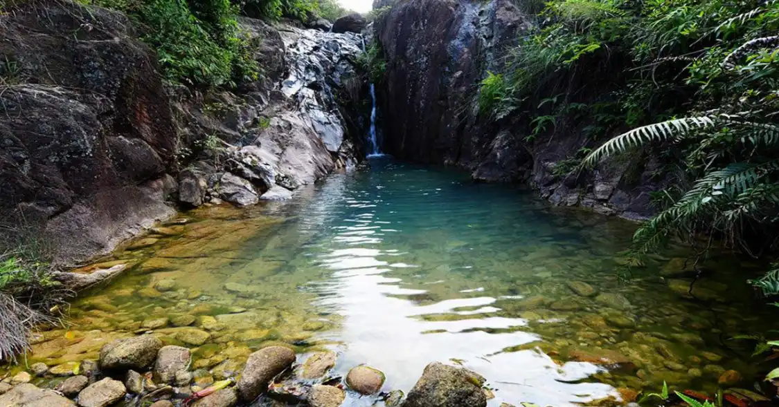 Hotels near Nine Mountain Directly