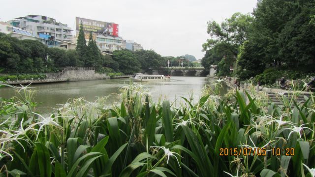도화강