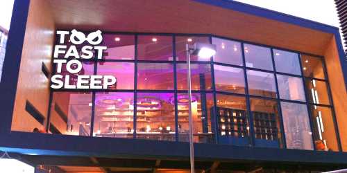 Too Fast To Sleep