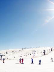 紅崖峽谷滑雪場