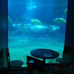 Ocean Blue User Photo