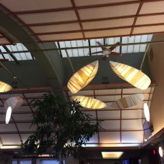 The Patio - Darien User Photo
