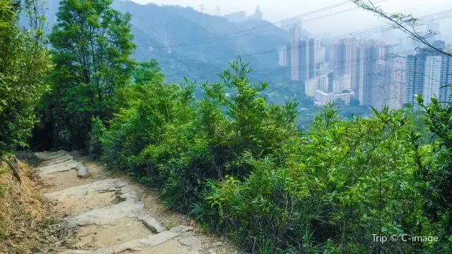 Hong Kong Hiking