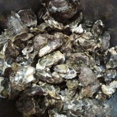 JinShui Men JiangBian Seafood Restaurant User Photo