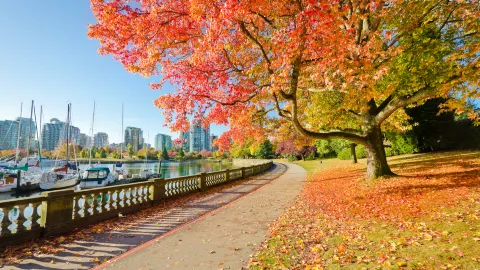 Stanley Park attraction in Canada