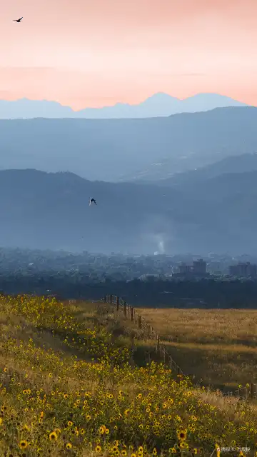 丹佛Staybridge Suites住宿