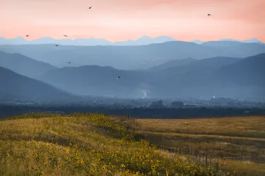 Denver