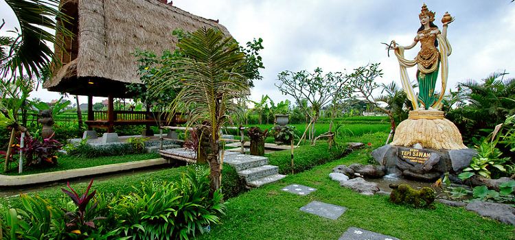 Bebek Tepi Sawah