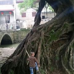 黄姚大排档 User Photo