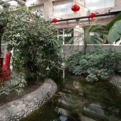牧野风生态酒店·餐厅 ảnh của người dùng