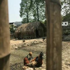 FANG SHI REN GU User Photo
