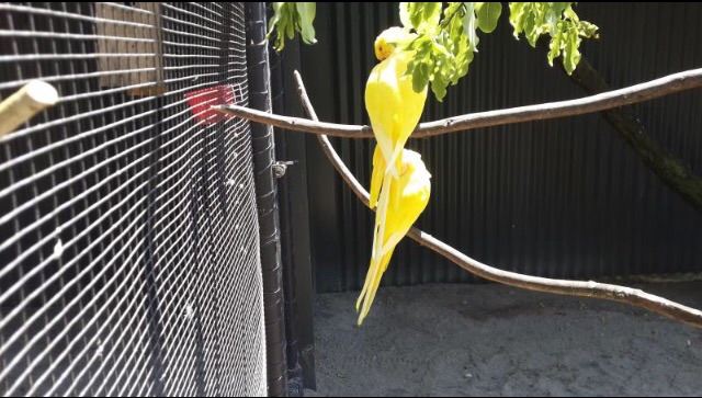 彩虹泉自然公園