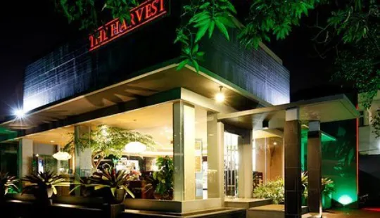 The Harvest Cakes - Pluit