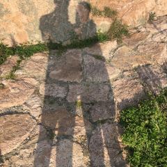 阿军排档·烧烤 User Photo