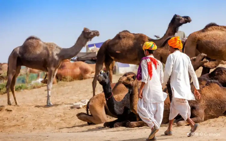 Pushkar